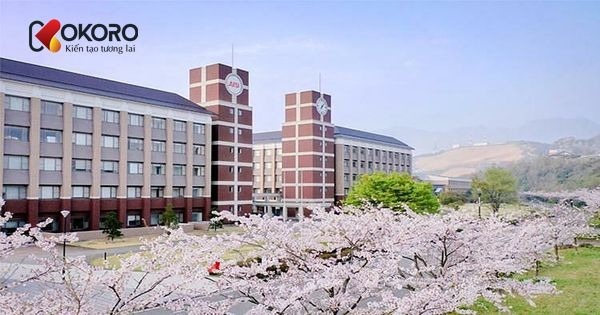 Trường Nhật ngữ ECC Osaka