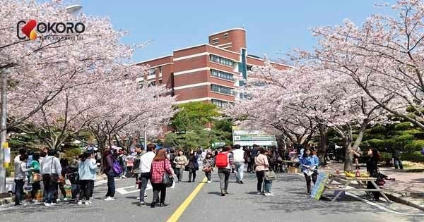 Trường đại học Jeju Tourism