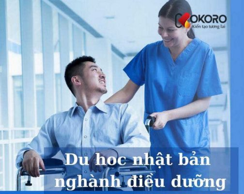 Khó-khăn-của-ngành-điều-dưỡng-ở-Nhật-Bản-là-gì?