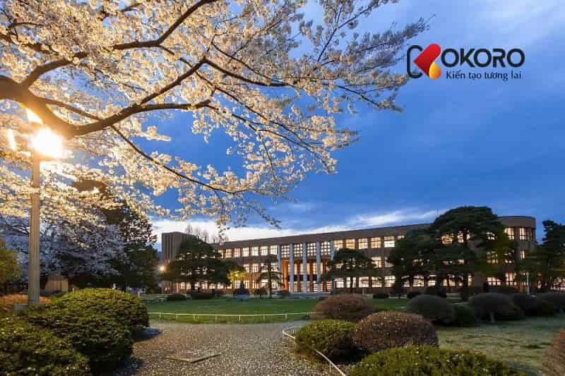 Các-trường-đại-học-tốt-ở-Nhật-Bản