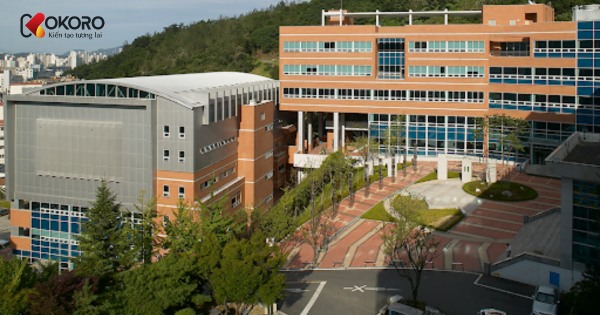 Thông tin trường đại học Sungkyul