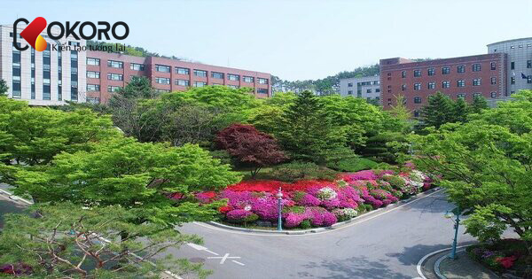 trường Yongin Songdam