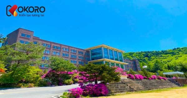trường đại học Songgok