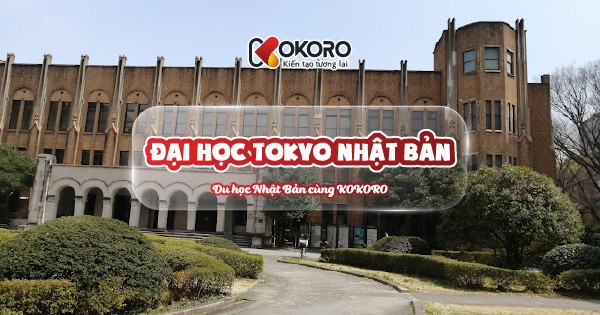 Đại học Kyoto Nhật Bản