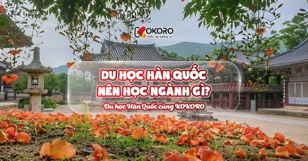 Du học Hàn Quốc nên học ngành gì?