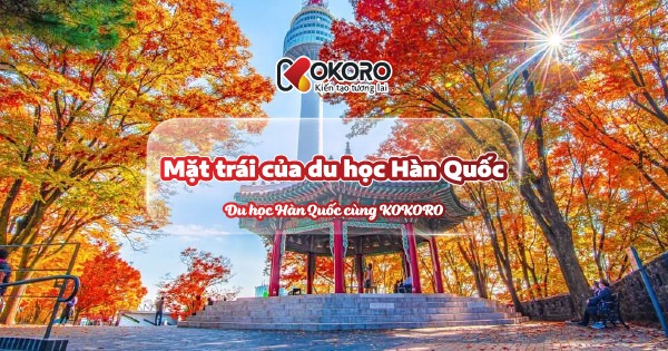 Mặt trái của du học Hàn Quốc