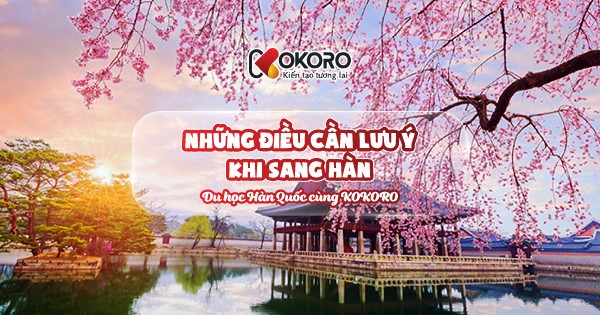 Những điều cần lưu ý khi sang Hàn Quốc