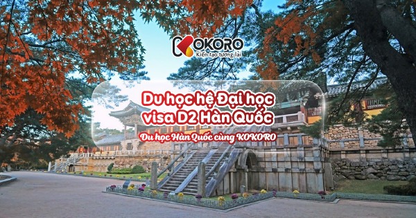 Du học hệ Đại học – visa D2 Hàn Quốc