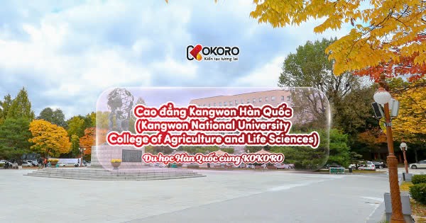 Cao đẳng Kangwon Hàn Quốc