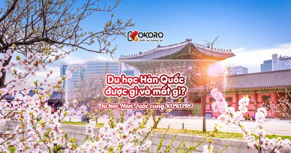 Du học Hàn Quốc được gì và mất gì