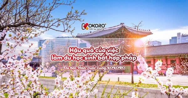 Hậu quả của việc làm du học sinh bất hợp pháp