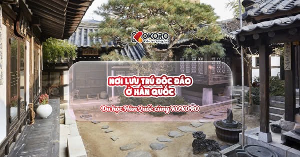 Nơi lưu trú độc đáo ở Hàn Quốc