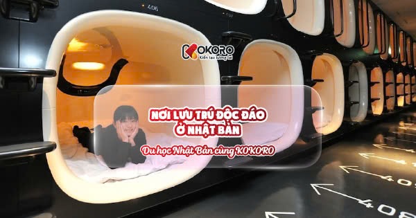 Nơi lưu trú độc đáo ở Nhật Bản