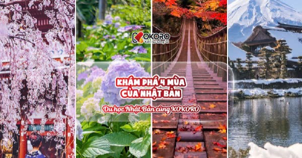 Khám phá 4 mùa của Nhật Bản