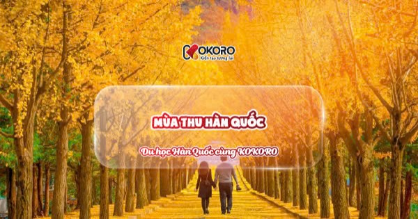 Khám phá 4 sắc màu của Hàn Quốc