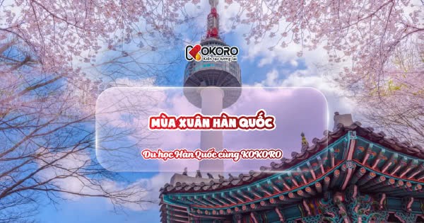 Khám phá 4 sắc màu của Hàn Quốc