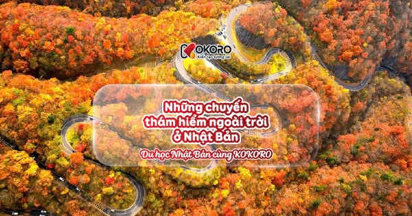 Những chuyến thám hiểm ngoài trời ở Nhật Bản