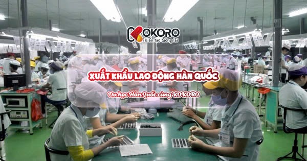 Xuất khẩu lao động Hàn Quốc và những điều cần biết