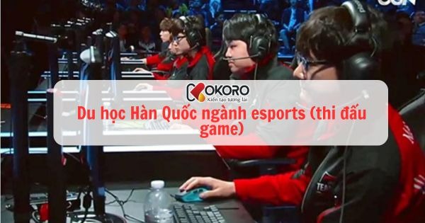 Du học Hàn Quốc ngành esports (thi đấu game)