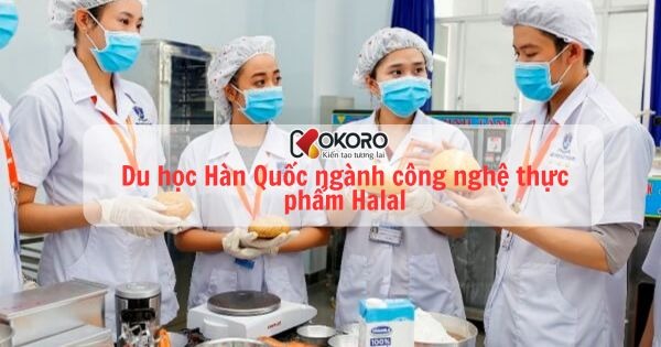 Du học Hàn Quốc ngành công nghệ thực phẩm Halal