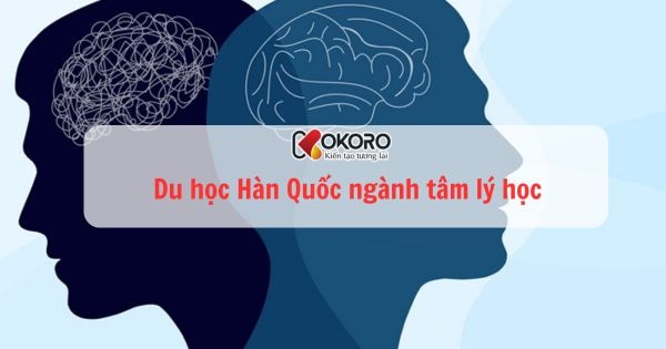 Du học Hàn Quốc ngành tâm lý học