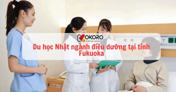 Du học Nhật Bản ngành điều dưỡng tại tỉnh Fukuoka