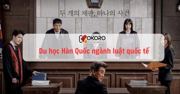 Du học Hàn Quốc ngành luật quốc tế