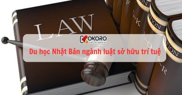 Du học Nhật Bản ngành luật sở hữu trí tuệ
