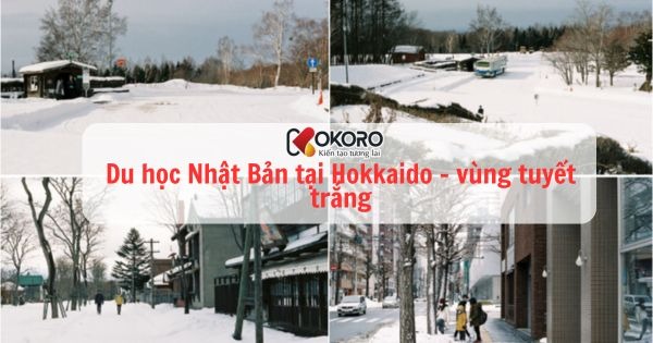 Du học Nhật Bản tại Hokkaido - vùng tuyết trắng