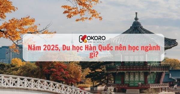Năm 2025, Du học Hàn Quốc nên học ngành gì?