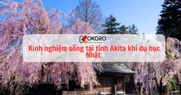 Kinh nghiệm sống tại tỉnh Akita khi du học Nhật