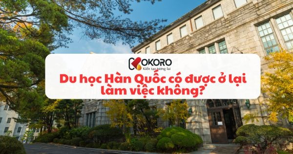 Du học Hàn Quốc có được ở lại làm việc không?