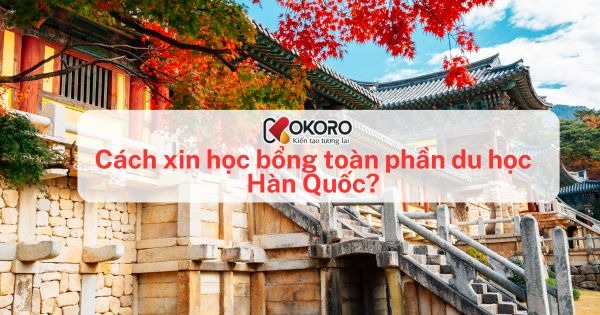Cách xin học bổng toàn phần du học Hàn Quốc?