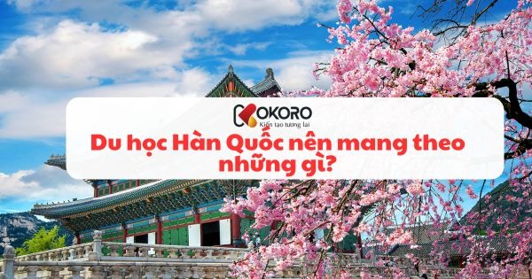 Du học Hàn Quốc nên mang theo những gì?