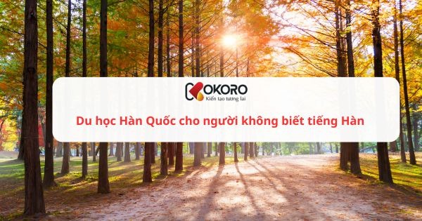 Du học Hàn Quốc cho người không biết tiếng Hàn
