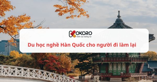 Du học nghề Hàn Quốc cho người đi làm lại