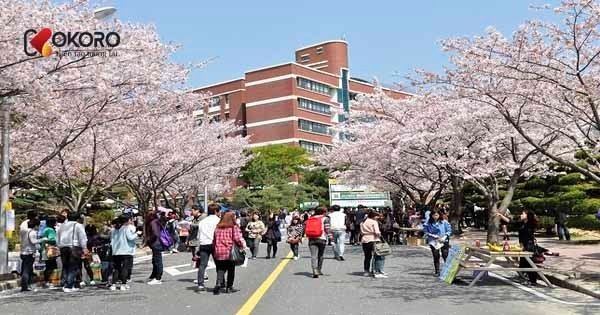 Trường đại học ở Incheon dành cho du học sinh Việt