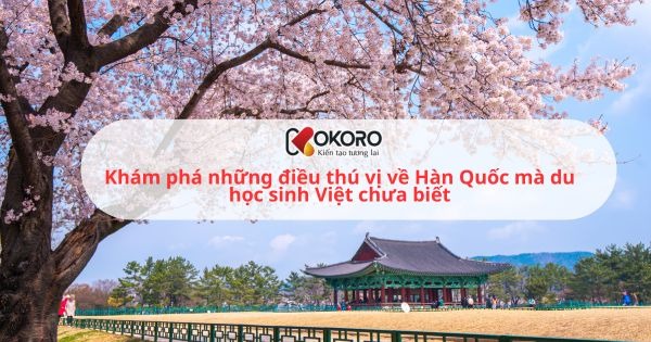 Khám phá những điều thú vị về Hàn Quốc mà du học sinh Việt chưa biết