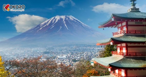Du học Nhật có thể định cư được không? – Phân tích cơ hội và thực tế