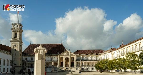 Korea Language School & University