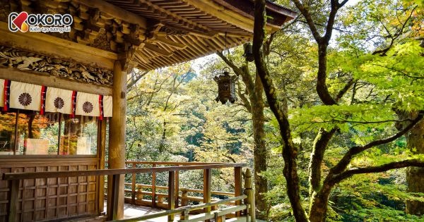 Tại sao Nhật Bản vẫn là điểm đến số 1 của du học sinh Việt Nam?