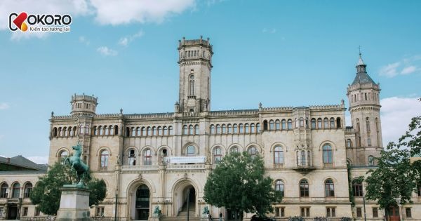 Korea Language School & University