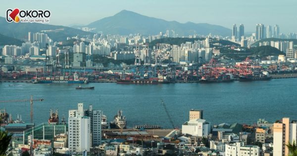 Tìm hiểu văn hóa làm việc tại Hàn Quốc – Kỷ luật, hiệu quả và đầy thử thách