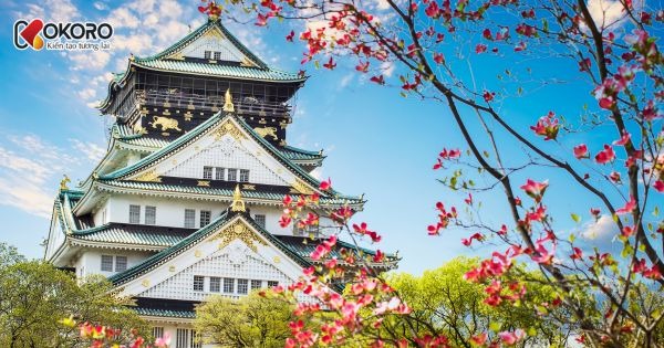 Du học Nhật có thể định cư được không? – Phân tích cơ hội và thực tế