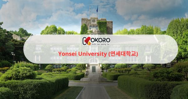 Yonsei University (연세대학교)