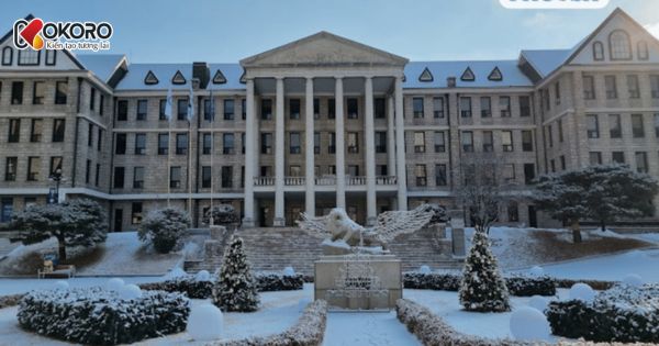 Hanyang University (한양대학교)