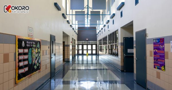 Danh sách trường có rank cao nhất Hàn Quốc