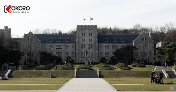 Korea University (고려대학교)