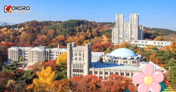 Kyung Hee University (경희대학교)