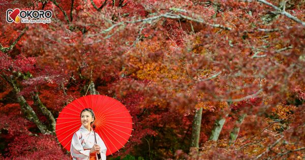 Du học Nhật Bản có còn là lựa chọn đúng đắn trong thời đại AI và toàn cầu hóa?